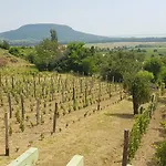 Grand Cru 4 Vendeghaz Dom wakacyjny Hegymagas