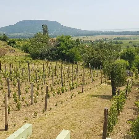 Grand Cru 4 Vendeghaz Holiday home Hegymagas