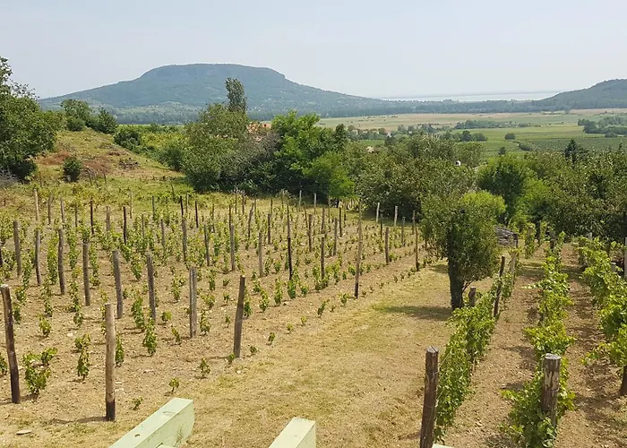 Grand Cru 4 Casa de Férias Hegymagas